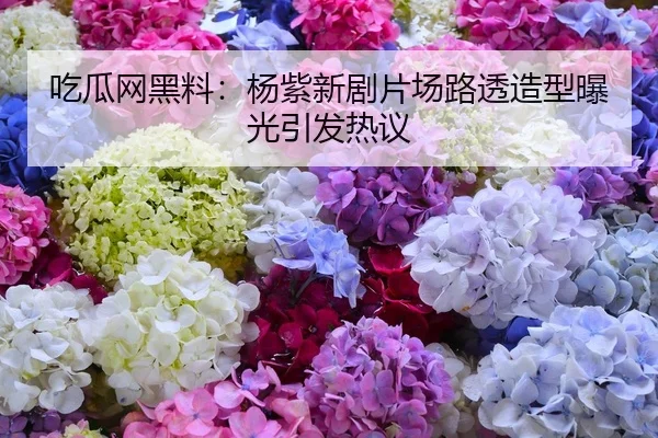 吃瓜网黑料：杨紫新剧片场路透造型曝光引发热议
